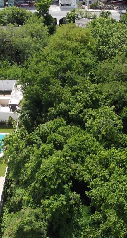 *VENTA TERRENO EN CHUBURNA DE HIDALGO III