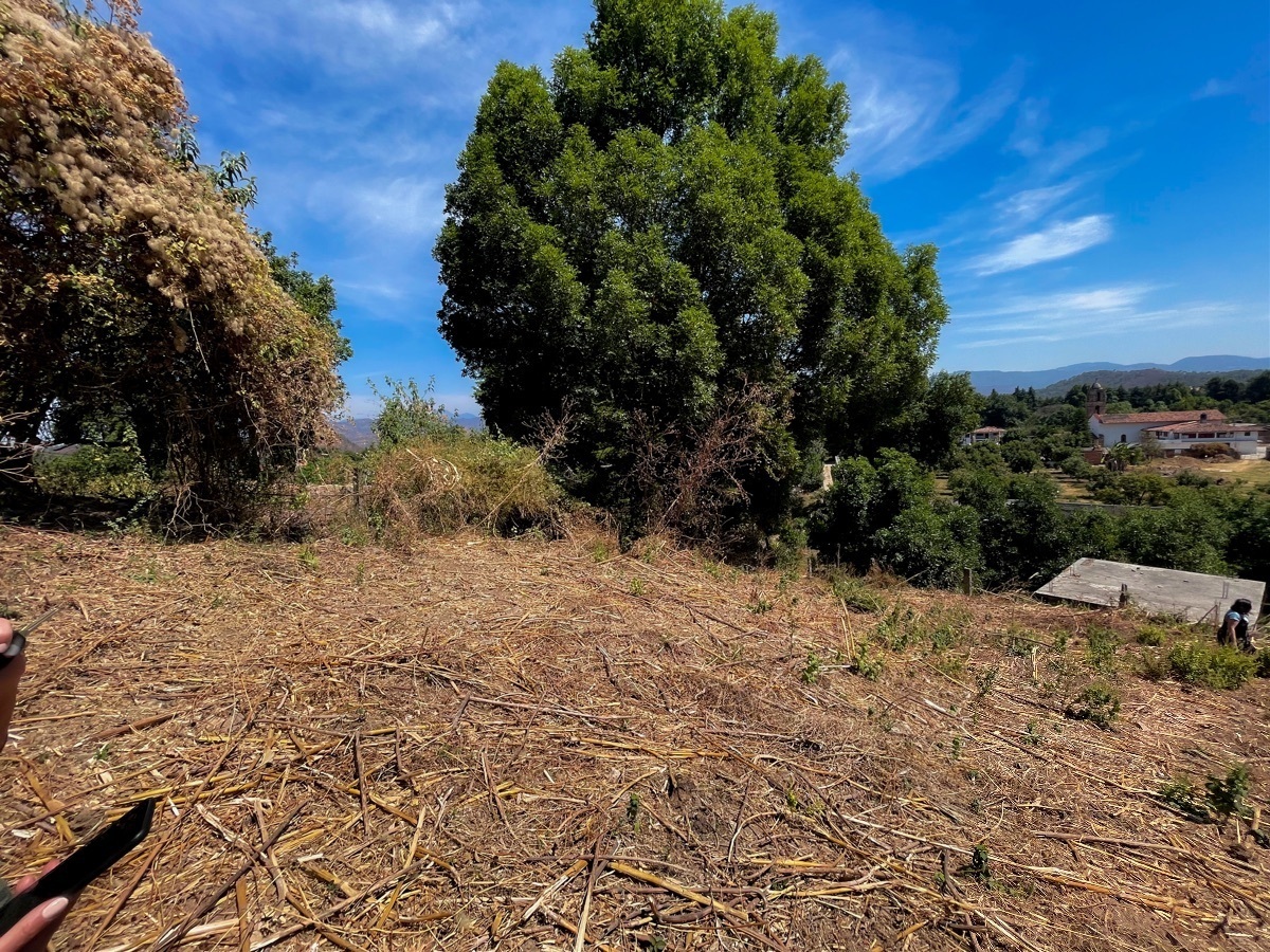 venta-terreno-en-san-juan-atezcapan-valle-de-bravo2-18565