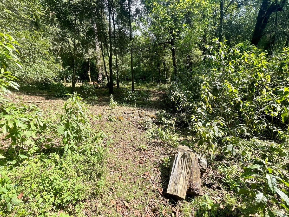 venta-terreno-en-valle-de-bravo7-18583