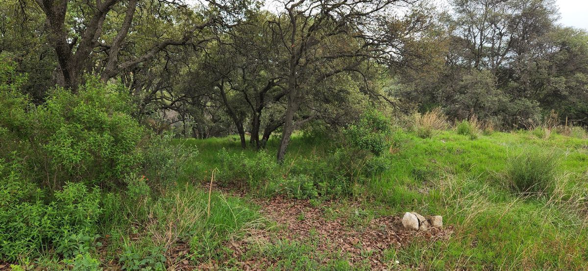 venta-terreno-rancho-san-juan3-12291