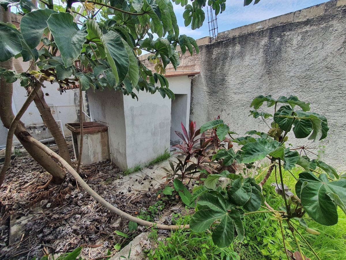 venta-y-renta-local-con-200mts-con-palapa-en-playa-del-carmen4-12146