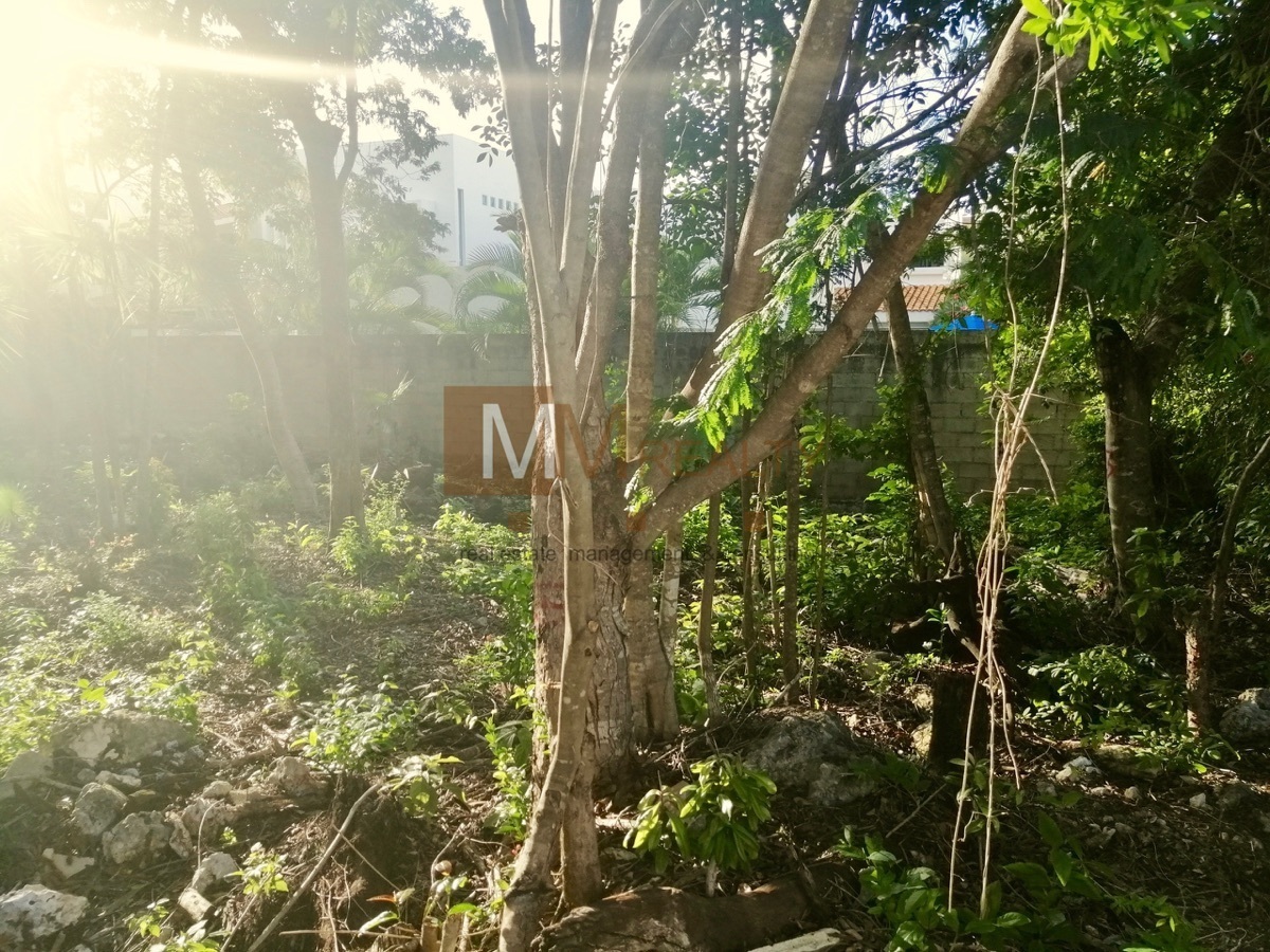 villa-magna-tunez--terreno-residencial-en-venta3-11960